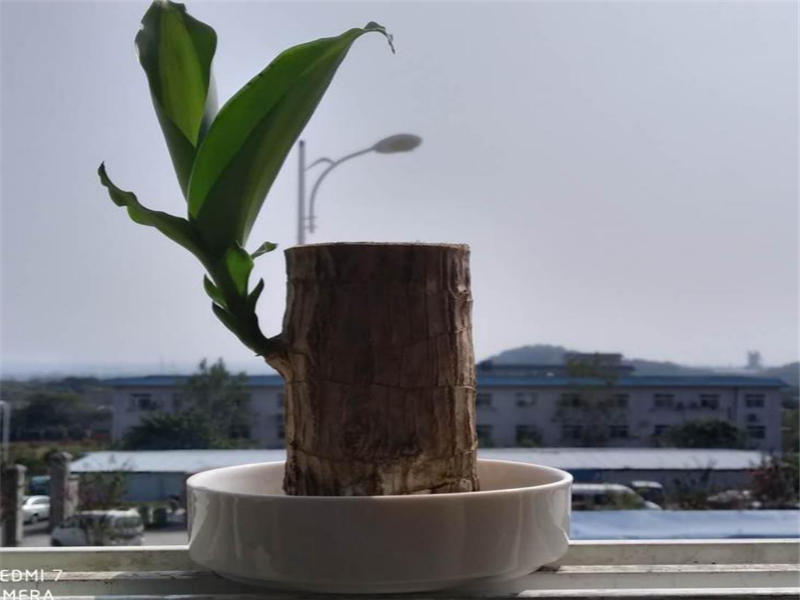 ¿áÓξÅÖÝ(Öйú)¼¯ÍÅÓÐÏÞ¹«Ë¾¹ÙÍø