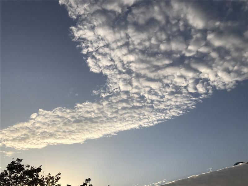 ¿áÓξÅÖÝ(Öйú)¼¯ÍÅÓÐÏÞ¹«Ë¾¹ÙÍø