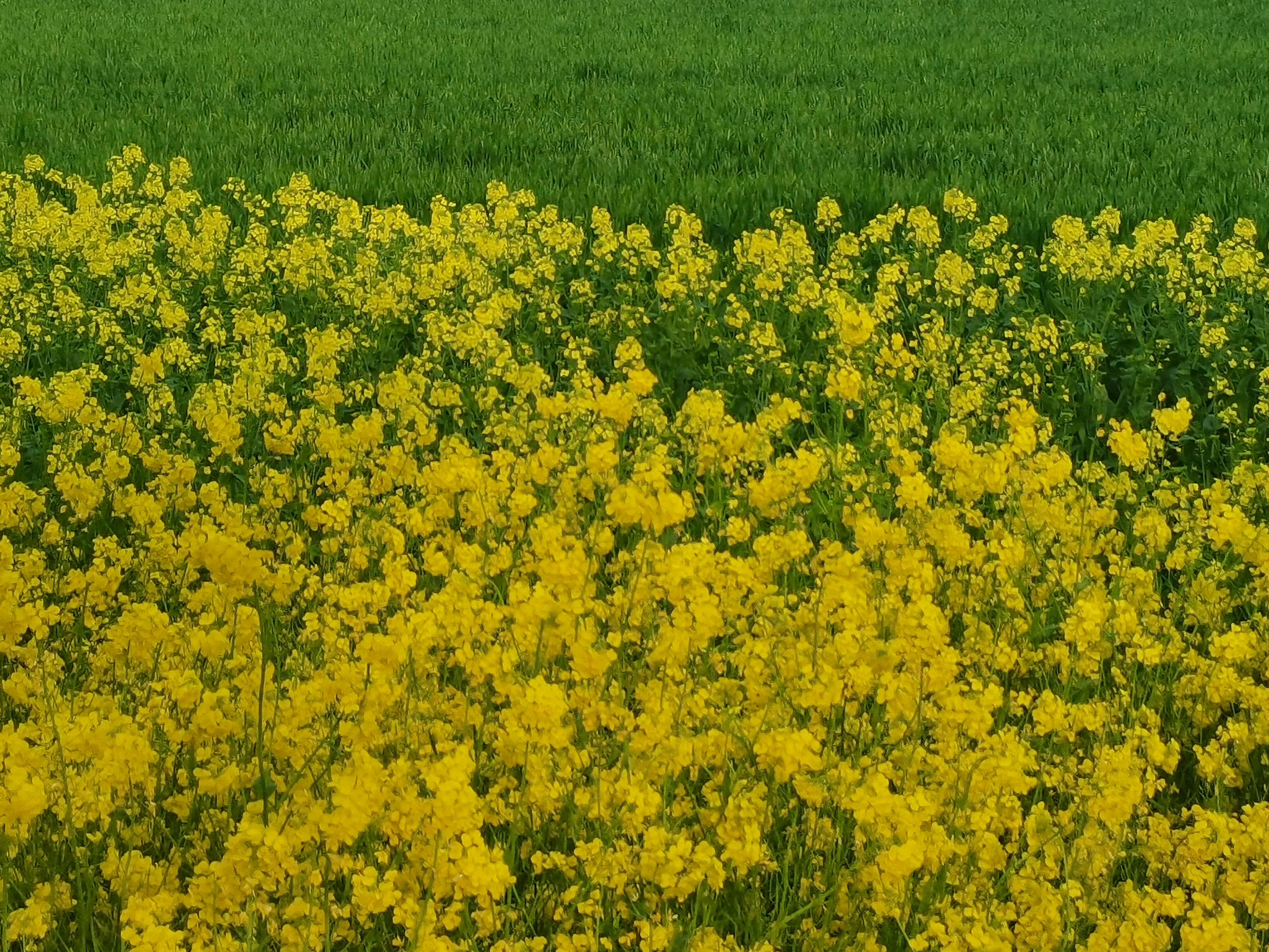 酷游九州(中国)集团有限公司官网