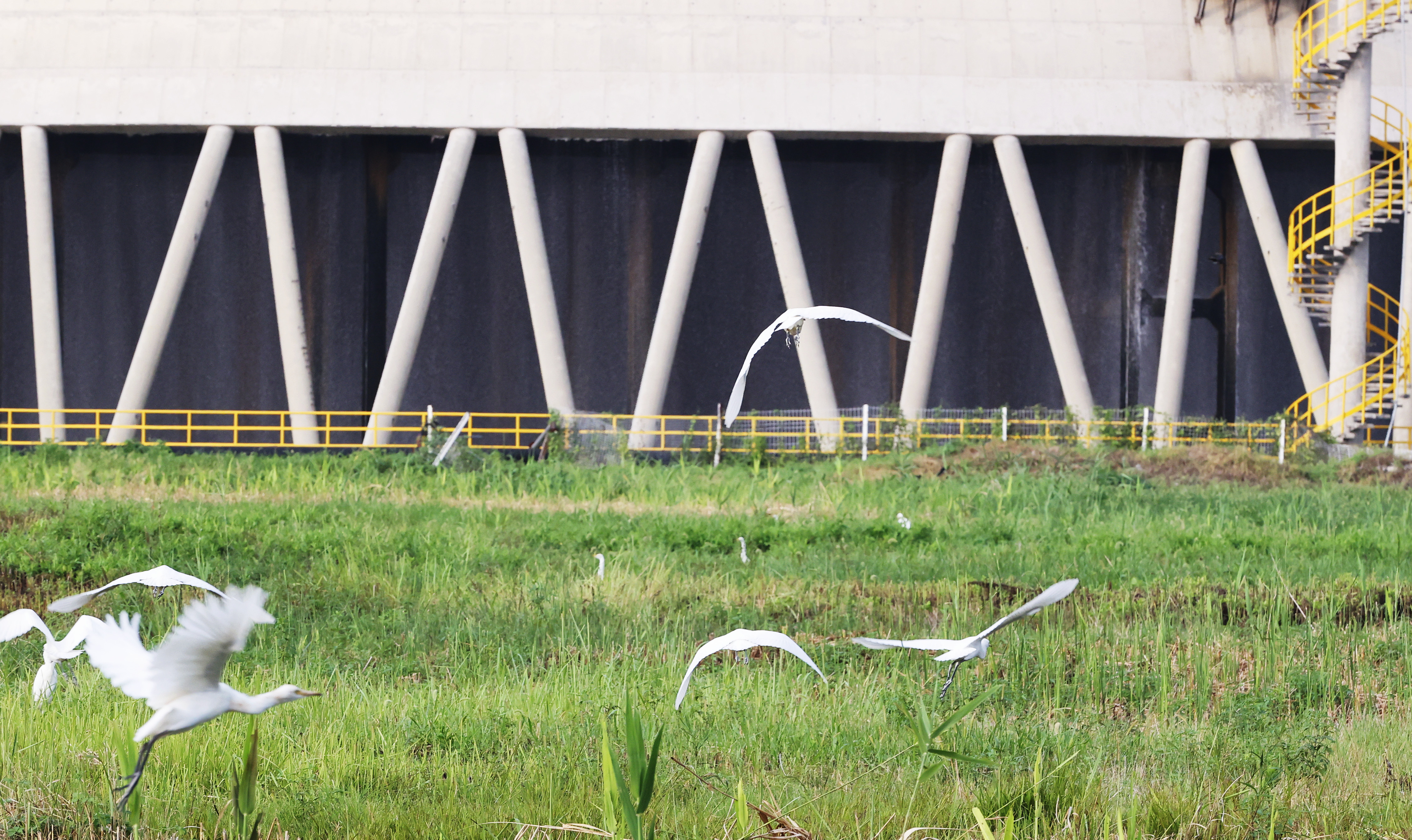 ¿áÓξÅÖÝ(Öйú)¼¯ÍÅÓÐÏÞ¹«Ë¾¹ÙÍø