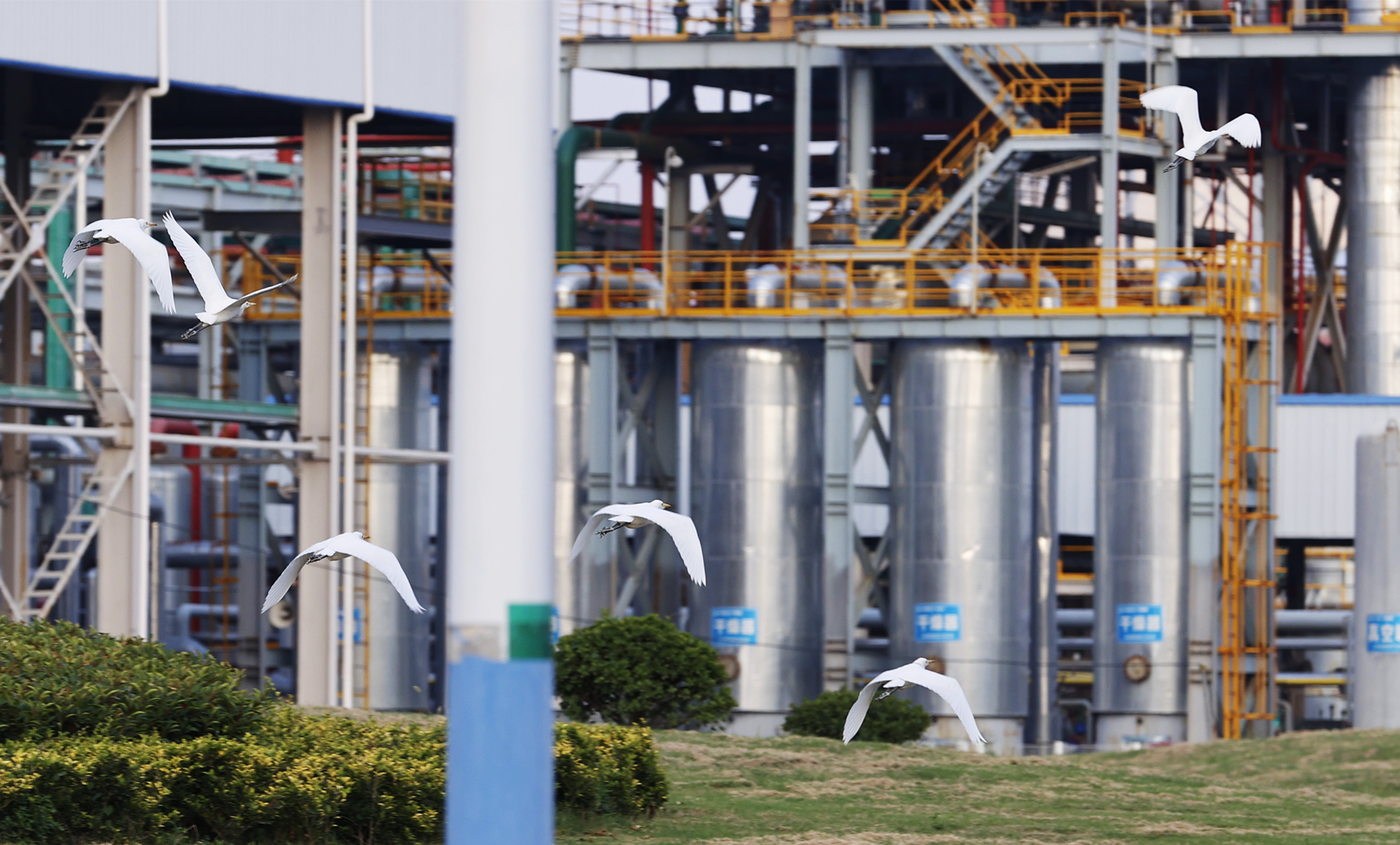 ¿áÓξÅÖÝ(Öйú)¼¯ÍÅÓÐÏÞ¹«Ë¾¹ÙÍø