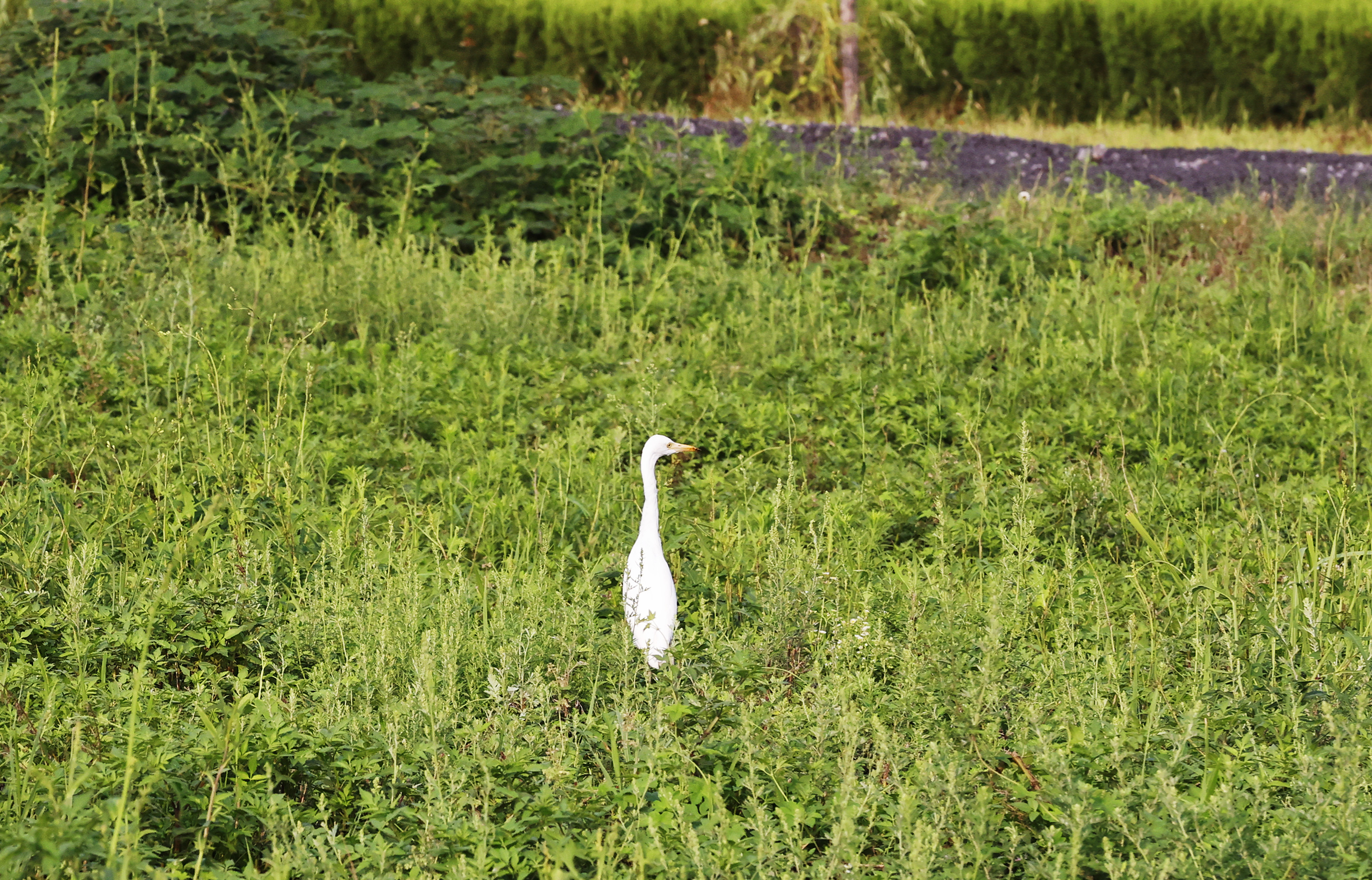 ¿áÓξÅÖÝ(Öйú)¼¯ÍÅÓÐÏÞ¹«Ë¾¹ÙÍø