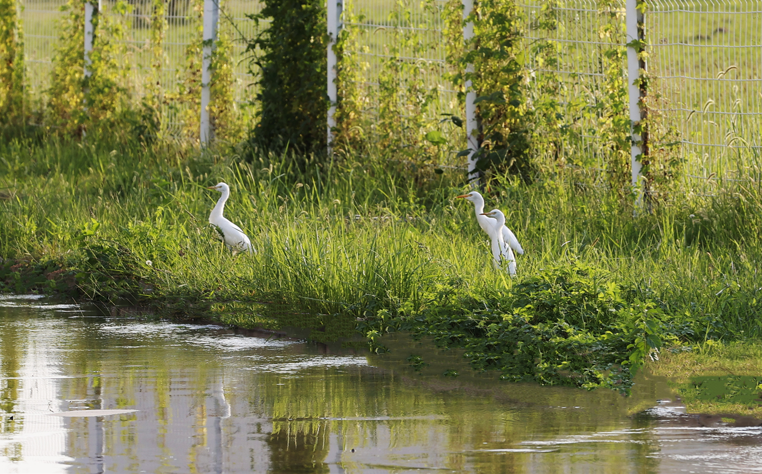 ¿áÓξÅÖÝ(Öйú)¼¯ÍÅÓÐÏÞ¹«Ë¾¹ÙÍø